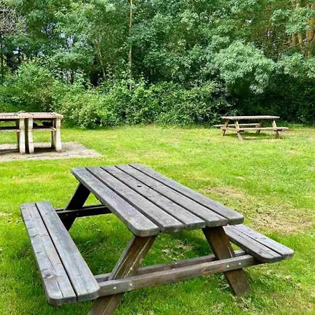 Mobil-home Spacieux 3 Pour 6 Personnes - Terrasse - Api-1-52-1649 Camping Concourson-sur-Layon